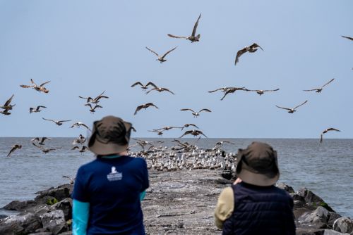 Two St. Jude scientists watch birds flying away