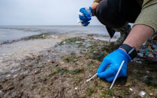 The scientists finish collecting samples on this beach