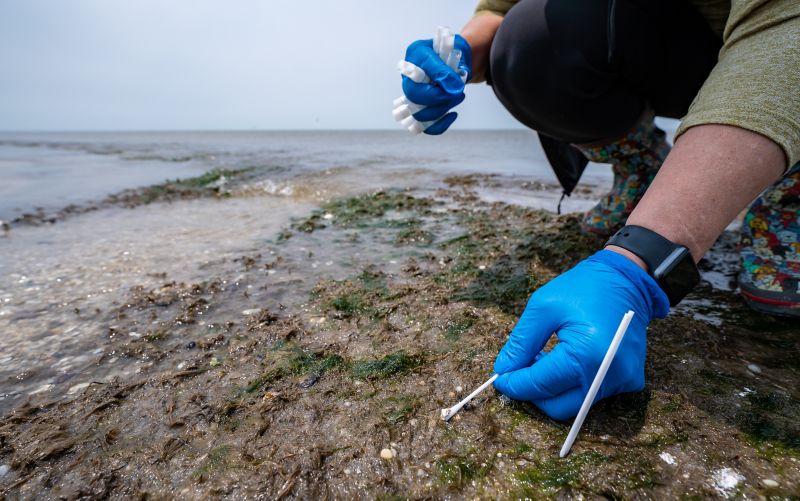 The scientists finish collecting samples on this beach