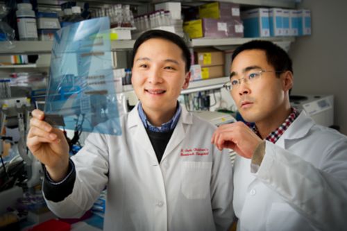 photo of two scientists looking at a scan