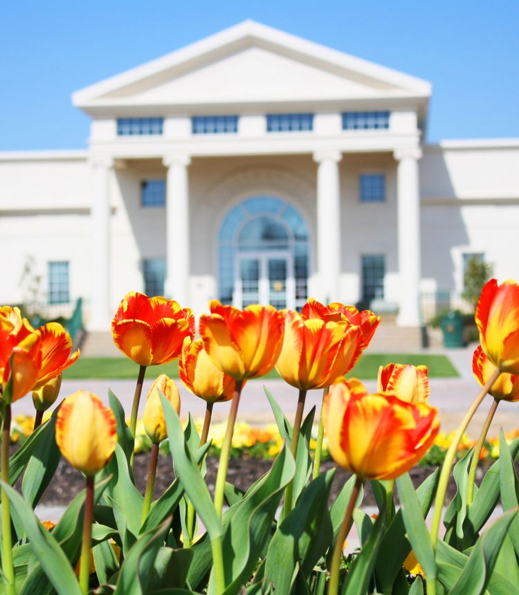 image of Collierville Town Hall w/tulips