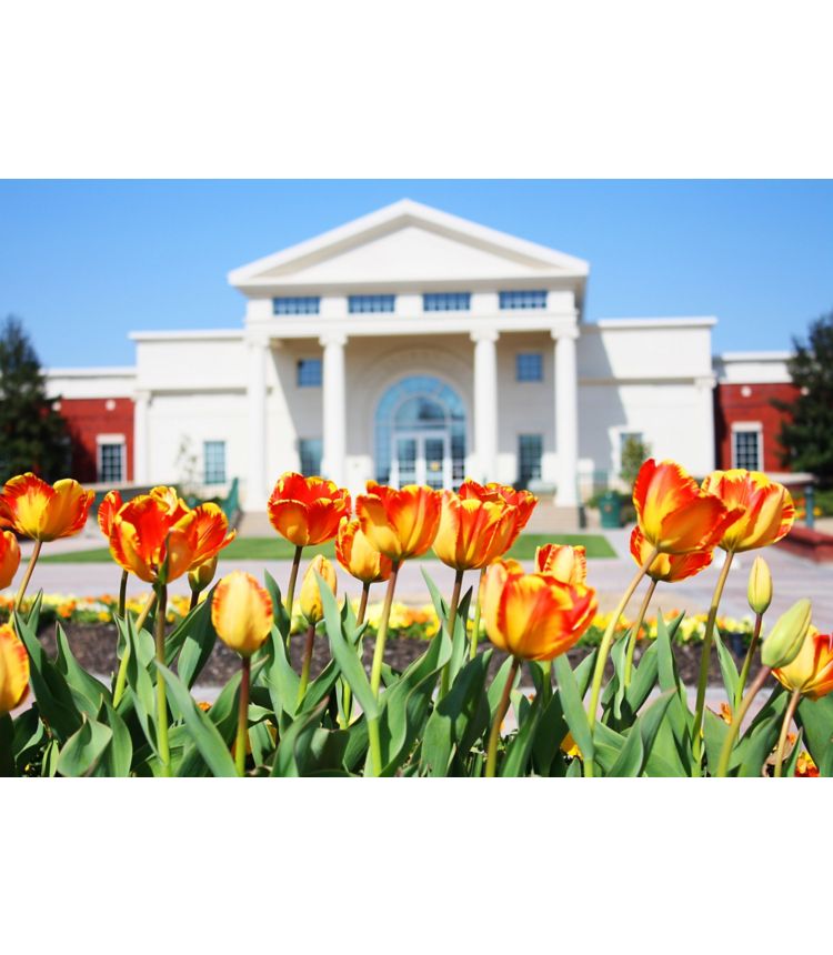 image of Collierville Town Hall w/tulips