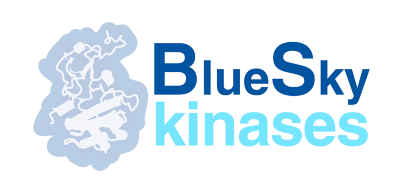 graphic of blue sky logo