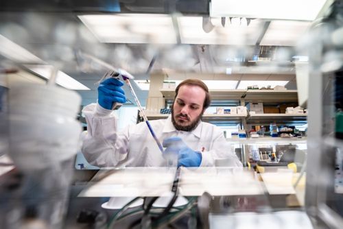 image of man with beard working in lab