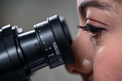 image of person looking into microscope