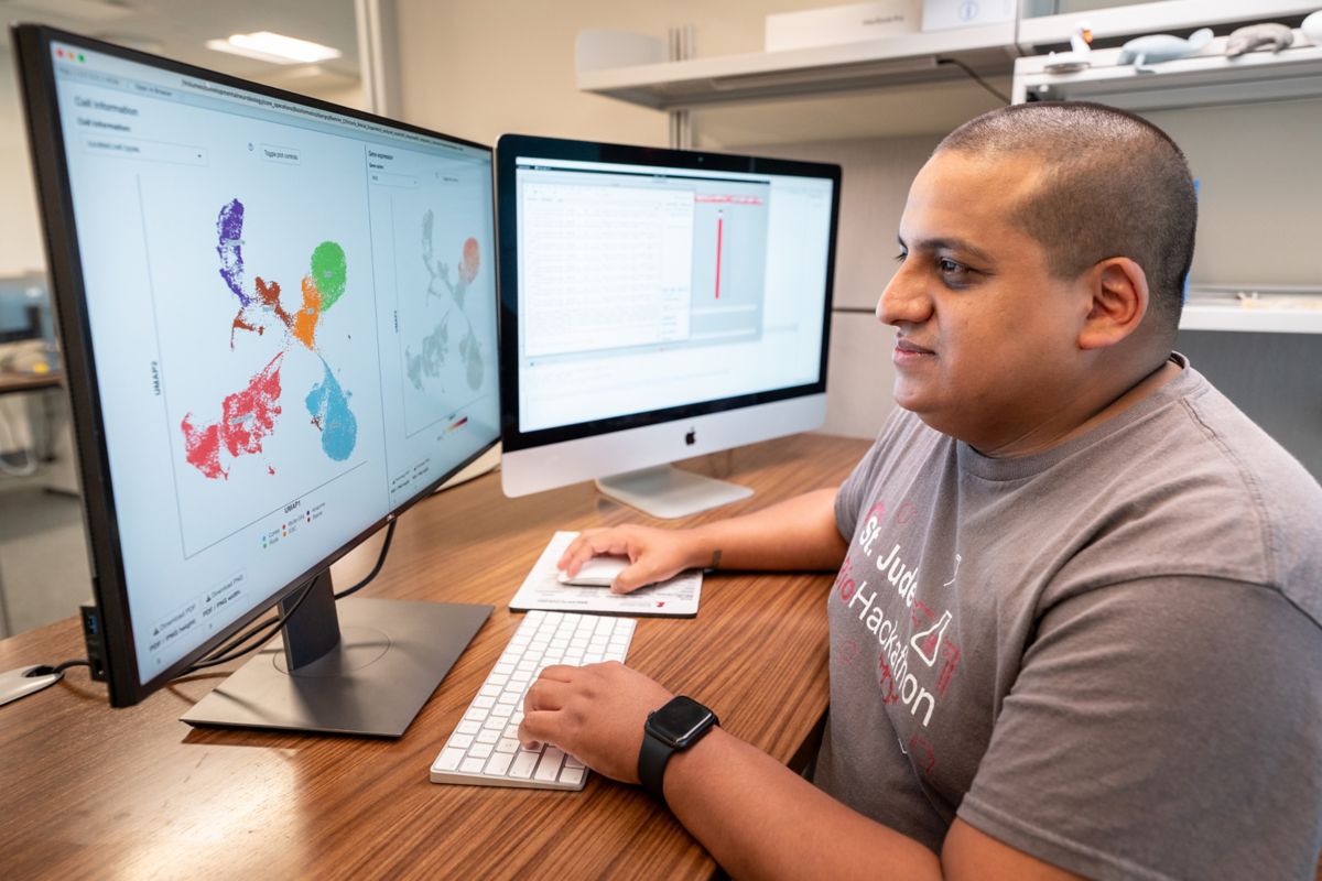 Bioinformatics Core | St. Jude Research