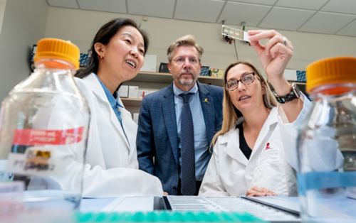 Pictured left to right, Hong Joo Kim, PhD, J. Paul Taylor, MD, PhD, and Ane Korff, PhD
