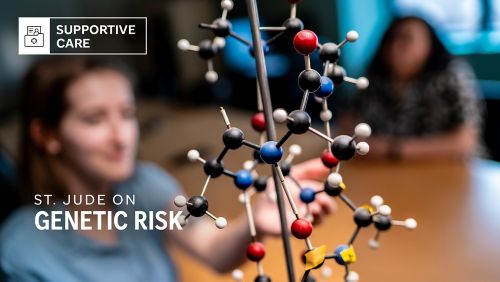 A genetic counselor using a molecular model to explain aspects of genetic risk.