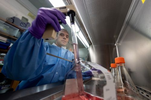 Brandon Lowe working in a lab