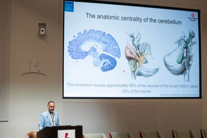 2024 Posterior Fossa Society Meeting