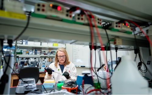 Rogers Lab Candid 1