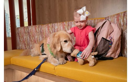 A female child petting golden retriever