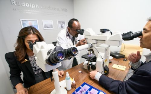 people looking into microscopes