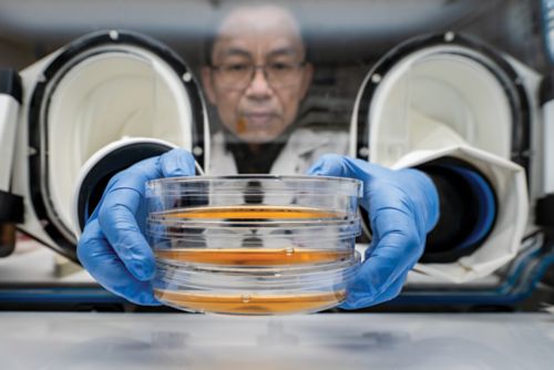 Scientist wearing blue gloves holding laboratory samples