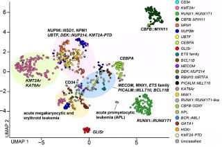RNA-seq-based UMAP plot of molecular subtypes in pediatric AML 