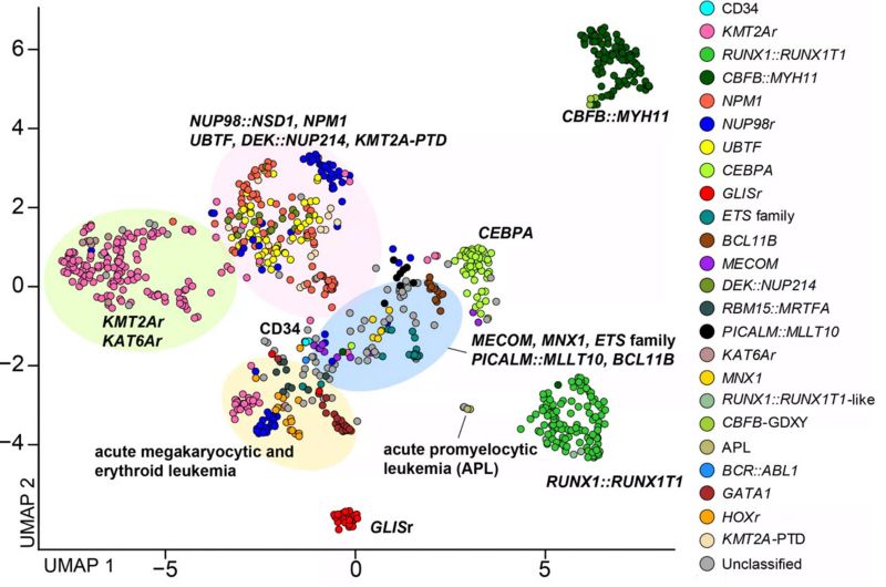 RNA-seq-based UMAP plot of molecular subtypes in pediatric AML 