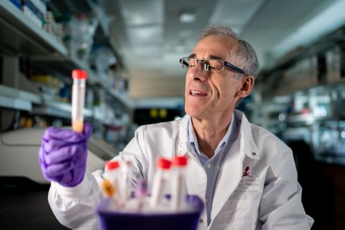 Man in white coat looking at a test tube in a lab