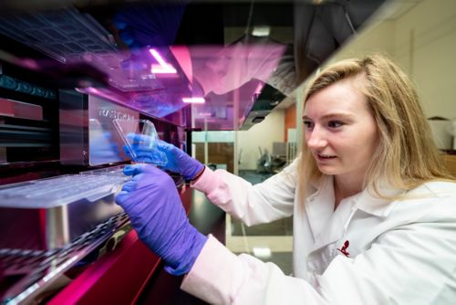 hands working in lab