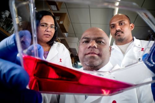 Three people in a lab