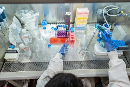 Man working in lab 