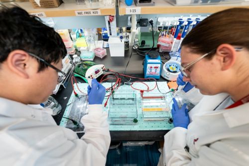 Side view of the face of a bearded man with computer screen in background