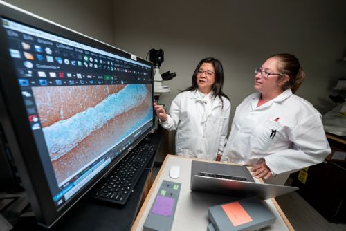 two women in lab coats looking at image on a giant computer monitor