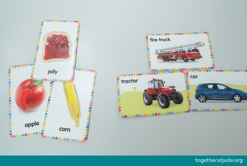 Picture cards sorted into two groups of food and vehicles