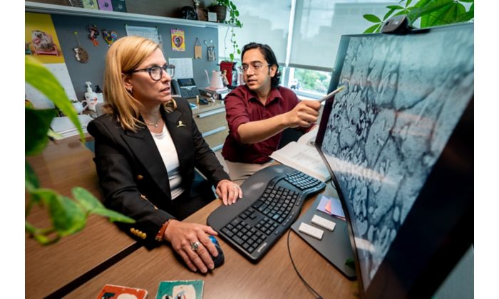 A woman and man looking at a computer screen that shows an image of cells