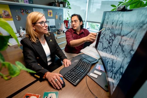 A woman and man looking at an image of cells on a computer screen. 