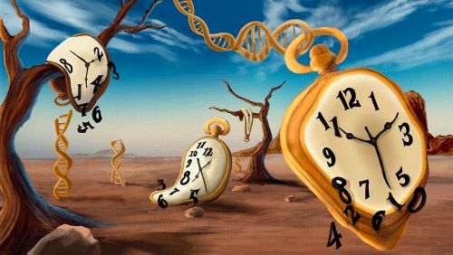 Dali-like illustration of clocks in a wasteland