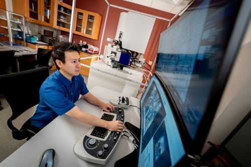 Man in blue shirt working at computer with large screen monitor