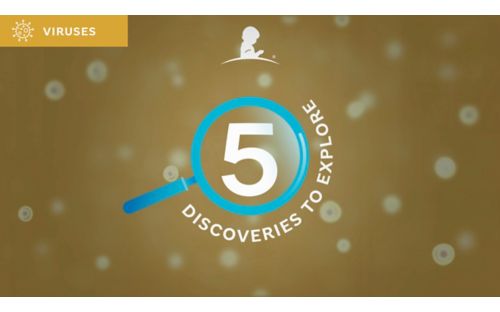 5 virus discoveries illustration