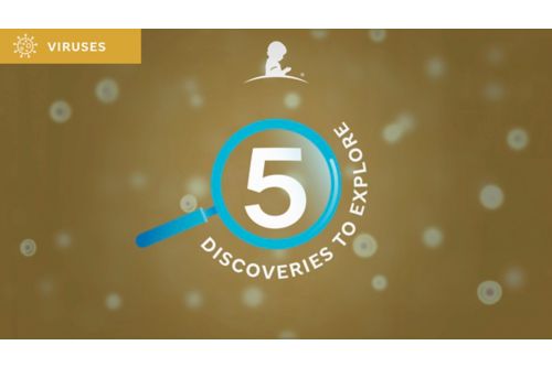 5 virus discoveries illustration