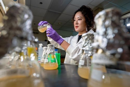 Woman in lab coat pouriing someting from one flask to another