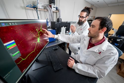 Two men in a lab