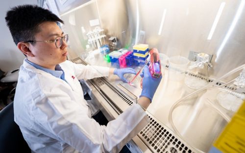 Man in lab