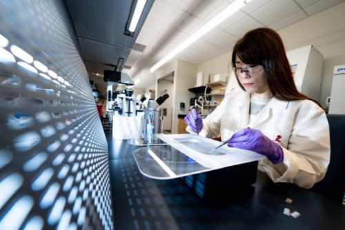 Woman in white coat working in a lab