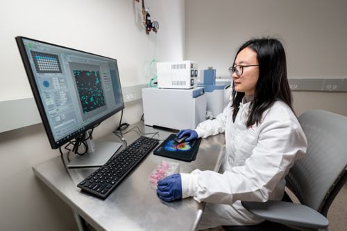 Woman working at computer in lab