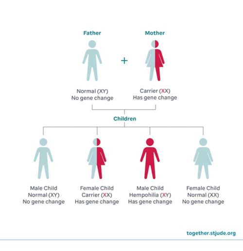 inheritance from mother to child