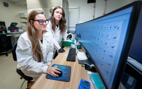 A scientist in front of a computer screen, examining data.