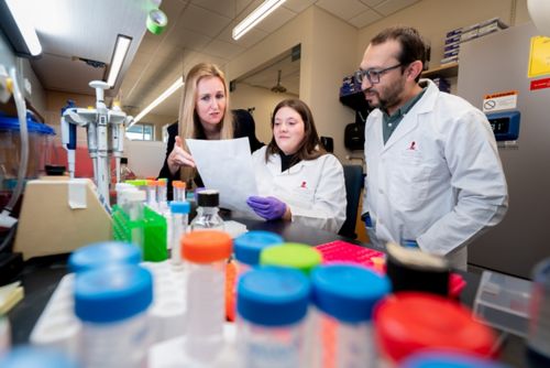 Lab team in discussion at a bench