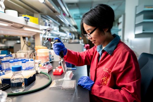 equipment in lab 