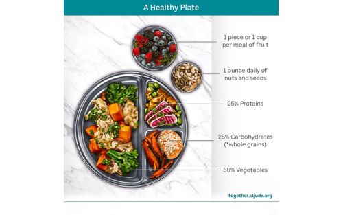 Healthy plate illustration