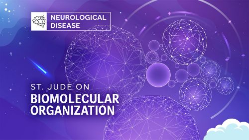 St. Jude On Neurological Disease