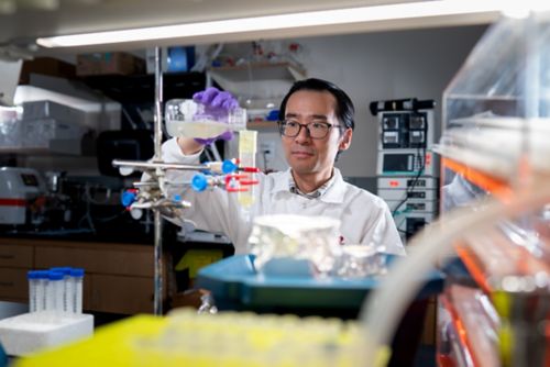 Associate scientist Wei Wang