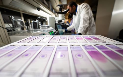 Scientist in lab