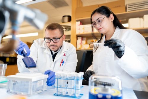 two people working in a lab