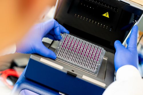 two hands holding lab equipment
