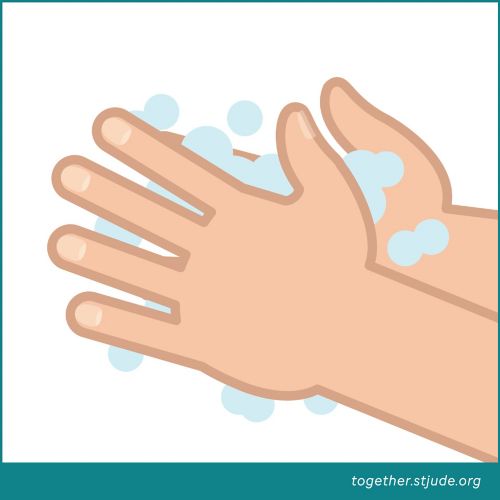 Wash hands with soap and water