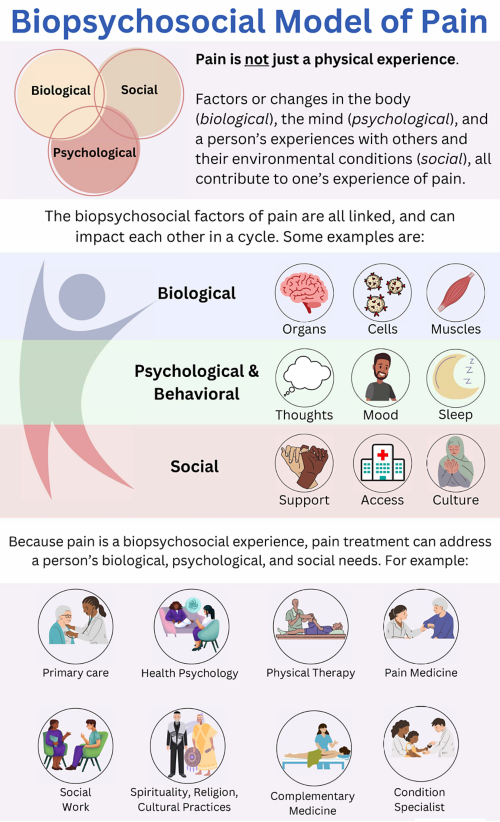 Infographic